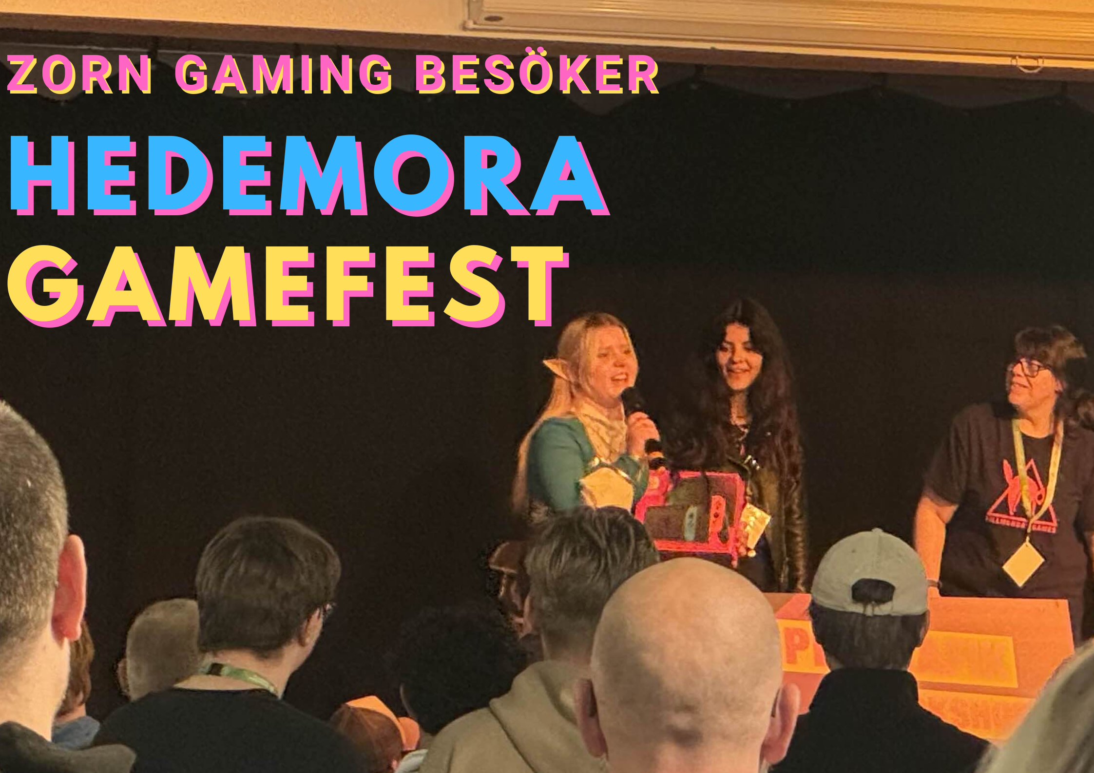 Hedemora Game Fest